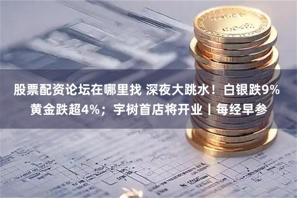 股票配资论坛在哪里找 深夜大跳水！白银跌9% 黄金跌超4%；宇树首店将开业丨每经早参
