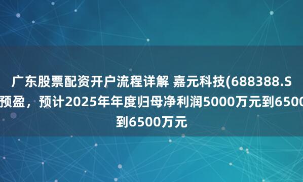广东股票配资开户流程详解 嘉元科技(688388.SH)发预盈，预计2025年年度归母净利润5000万元到6500万元